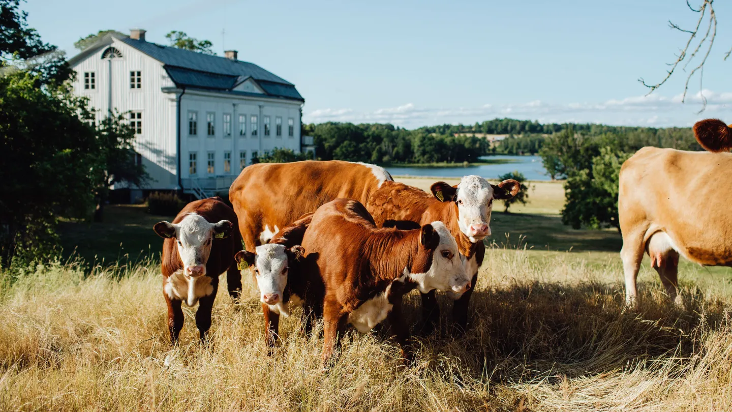Wallby Säteri, Vetlanda, Småland