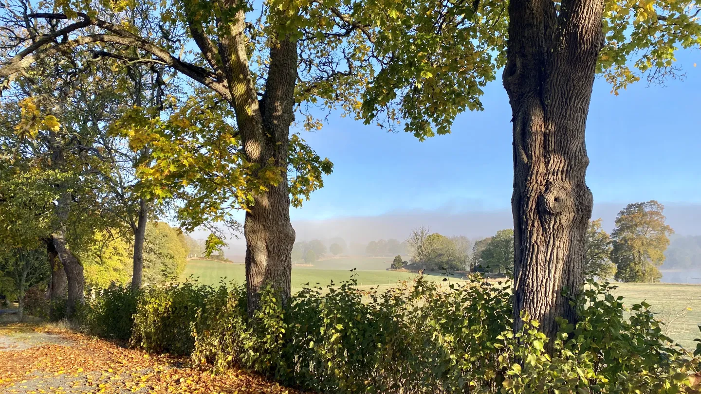 Höst på Wallby Säteri, Vetlanda, Småland