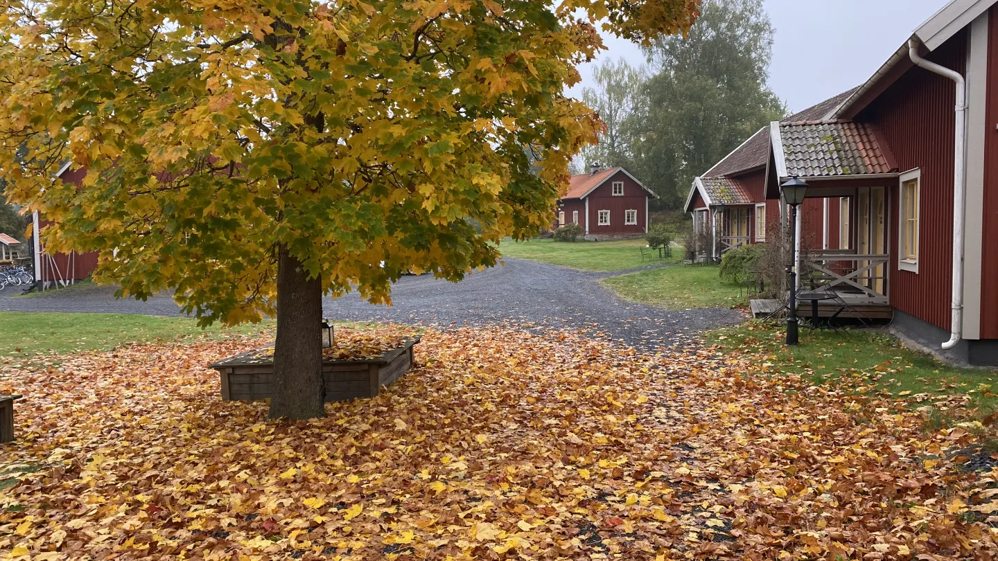 Hotellrum på Wallbyvis