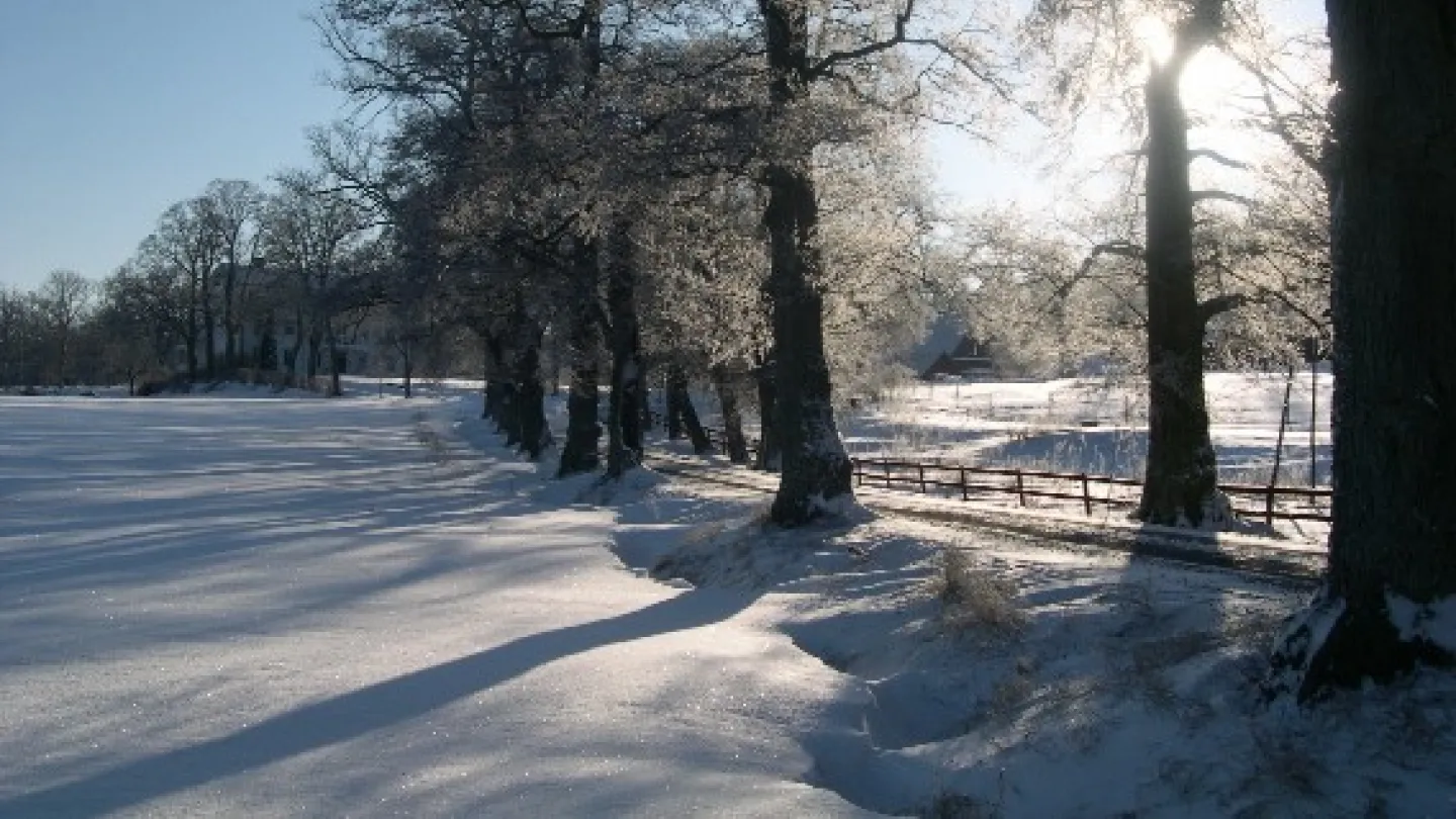 Vinter på Wallby